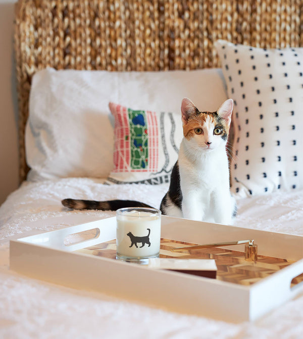 "Cat Pet" Soy Candle
