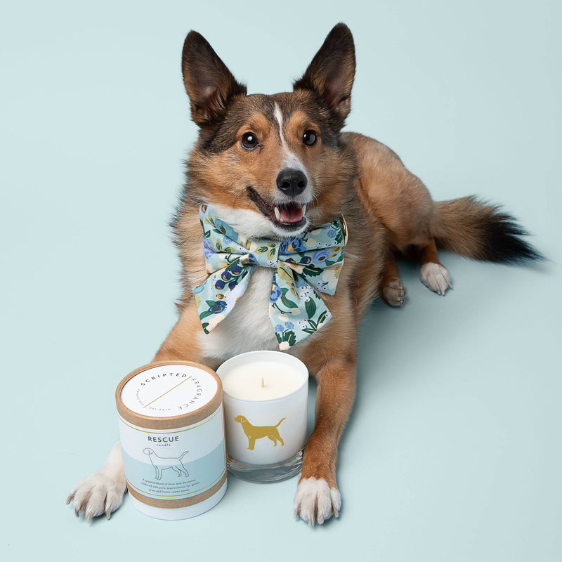 "Rescue Dog" Breed Soy Candle