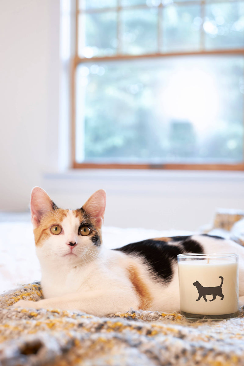 "Cat Pet" Soy Candle
