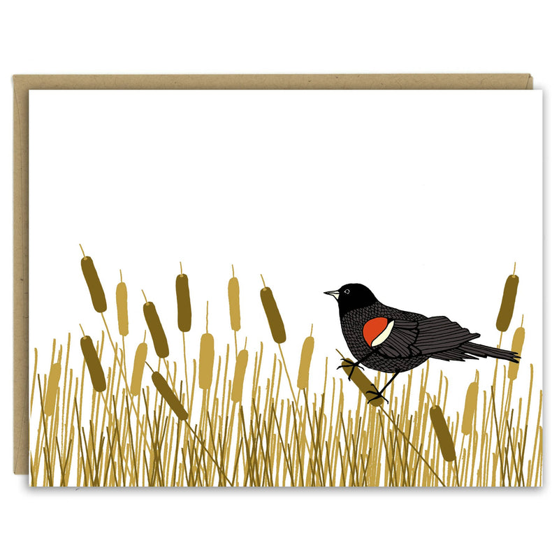 Backyard Birds Assorted Card Set of Ten