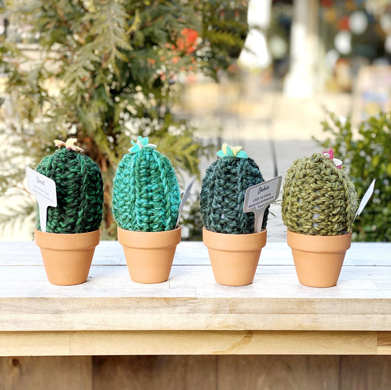 Crochet Cactus group of 4