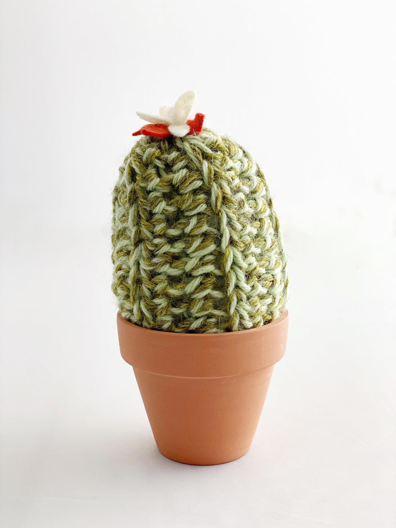 Crochet Cactus