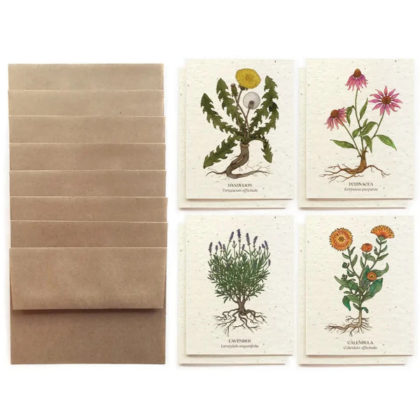 Medicinal Plants Plantable Card Set