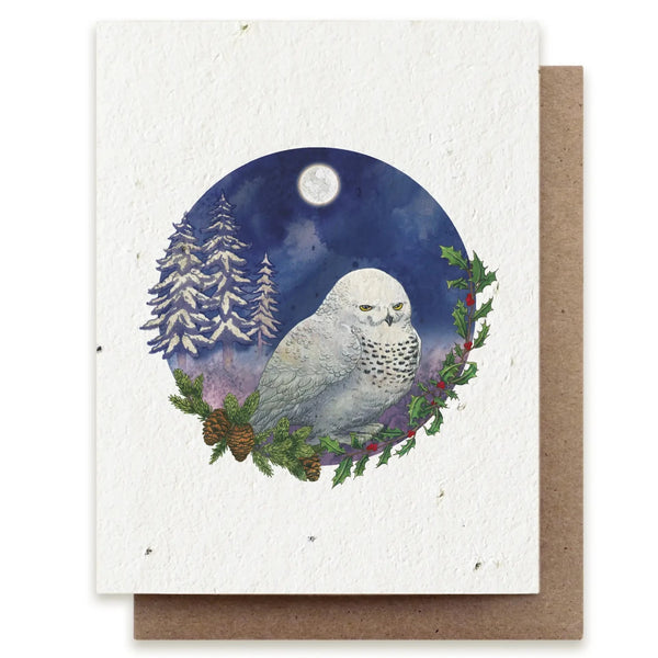 Snowy Owl