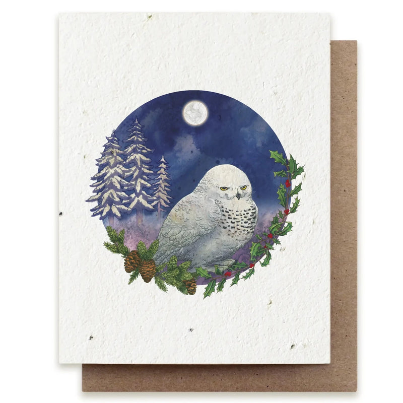 Snowy Owl