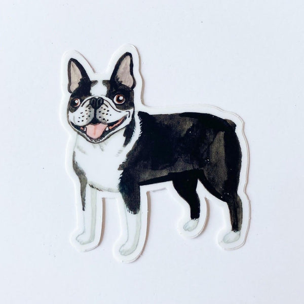 Boston Terrier animal Sticker