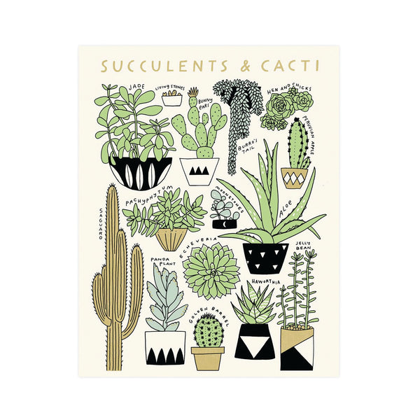 Cacti and Succulent Art Print